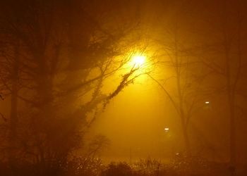 Le canton du Jura s’engage contre la pollution lumineuse