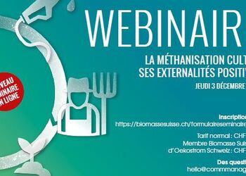 Séminaire annuel de Biomasse Suisse en ligne