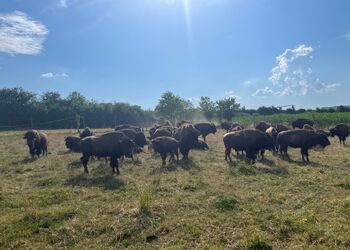 Une centrale solaire participative sur la ferme Prêtre à Boncourt