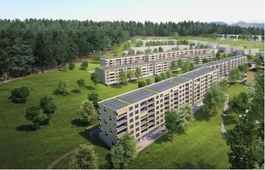 Quartier Papillon &agrave; Niederwangern (BE)